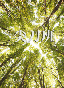 亚瑟新皮肤